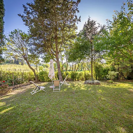 Papavero By Interhome Apartment Montescudaio